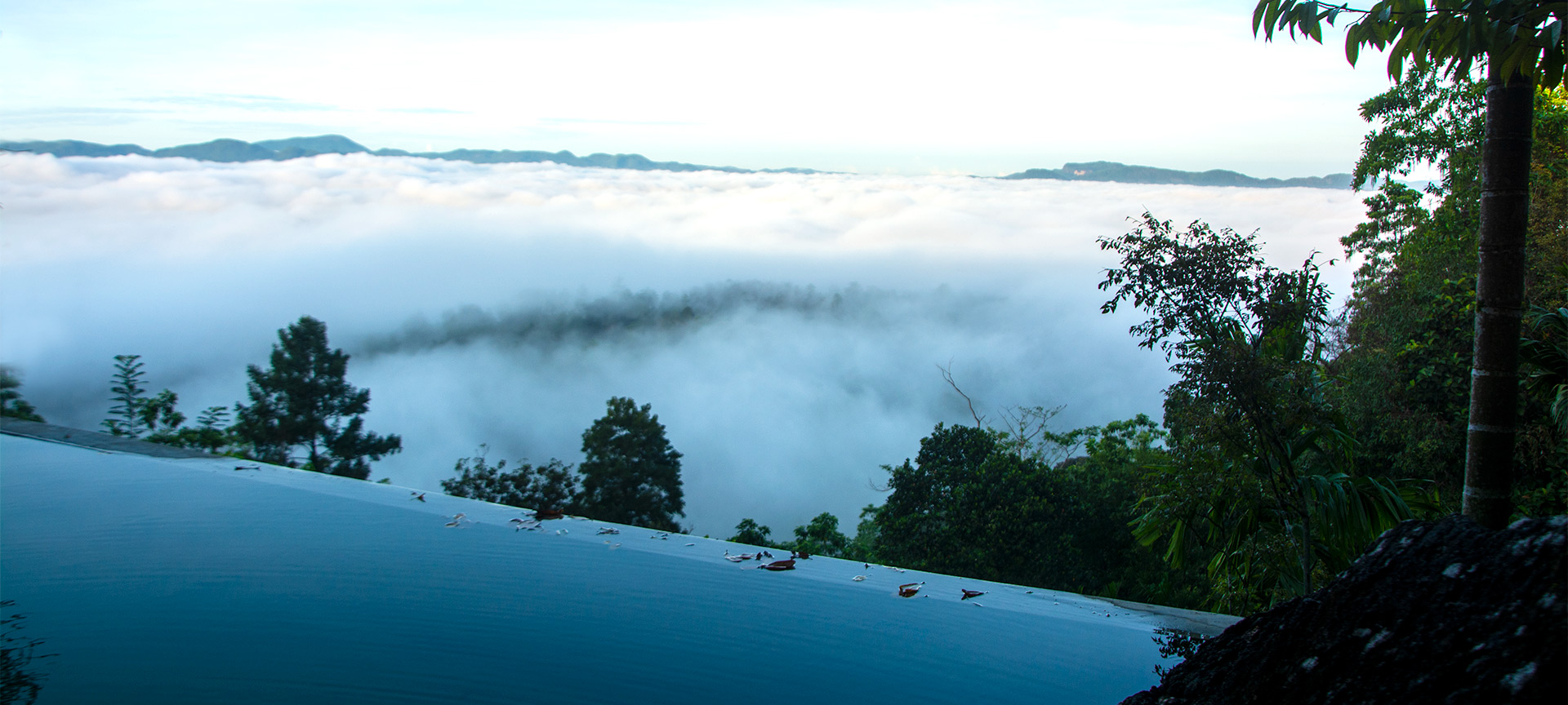 View from Swimming pool in the morning